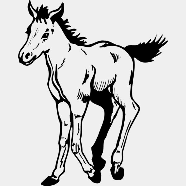 HORSE044 Thumbnail