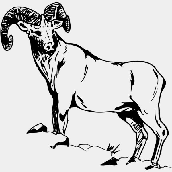 RAM013 Thumbnail