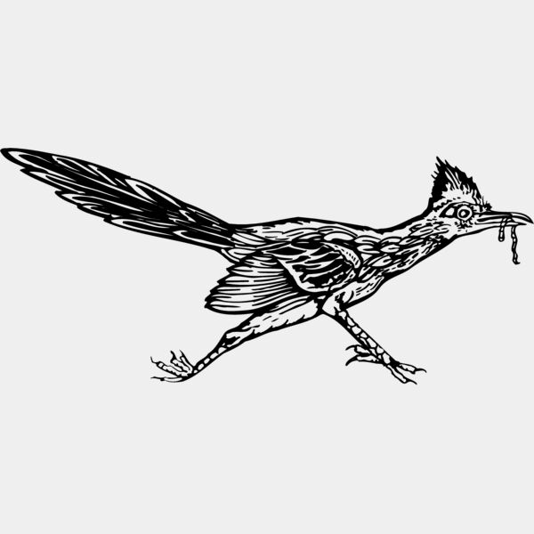 BIRD046 Thumbnail