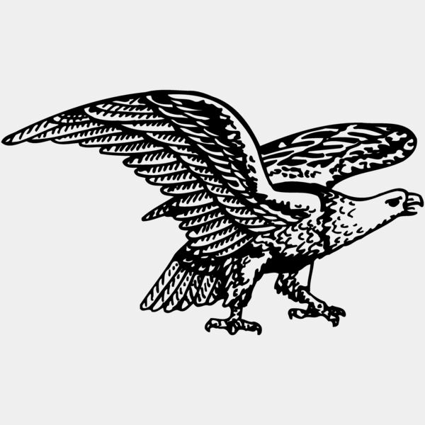 EAGLE028 Thumbnail