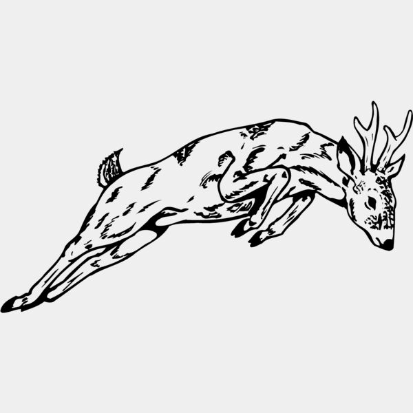 DEER020 Thumbnail