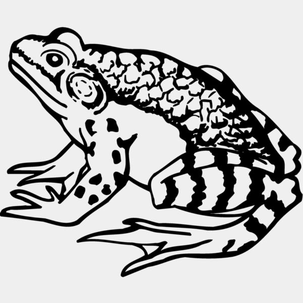 FROG03 Thumbnail