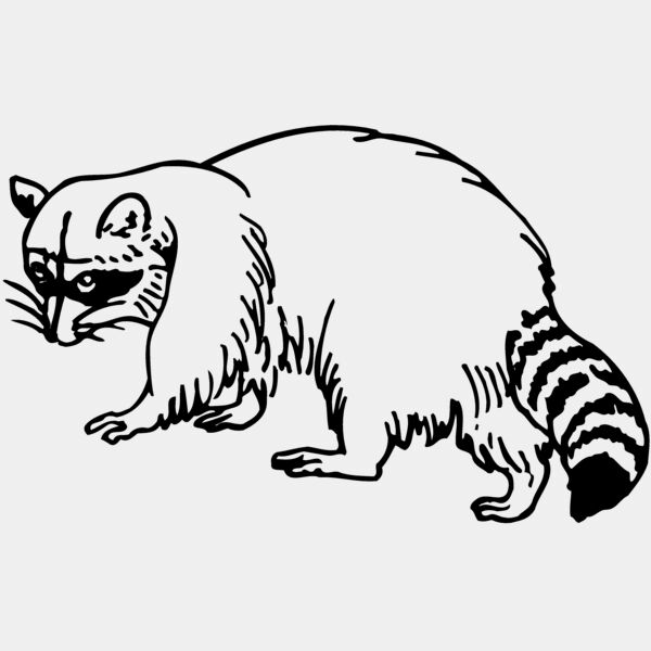 COON003 Thumbnail