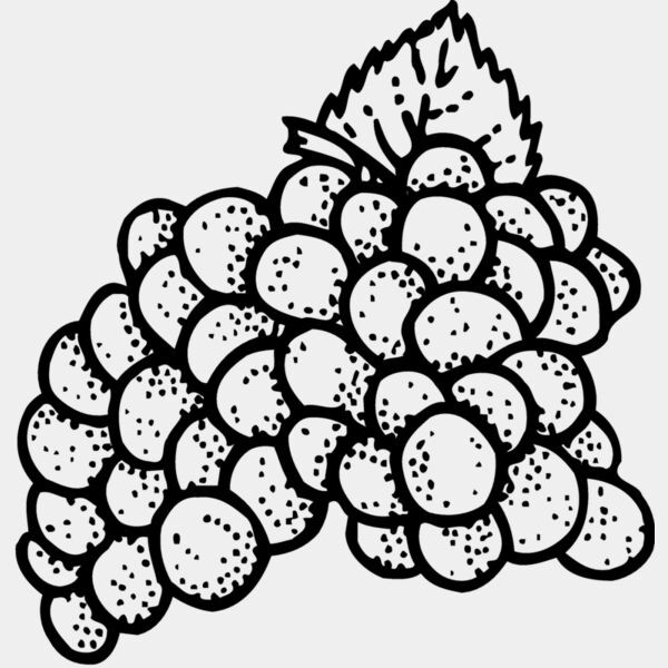 FRUIT016 Thumbnail