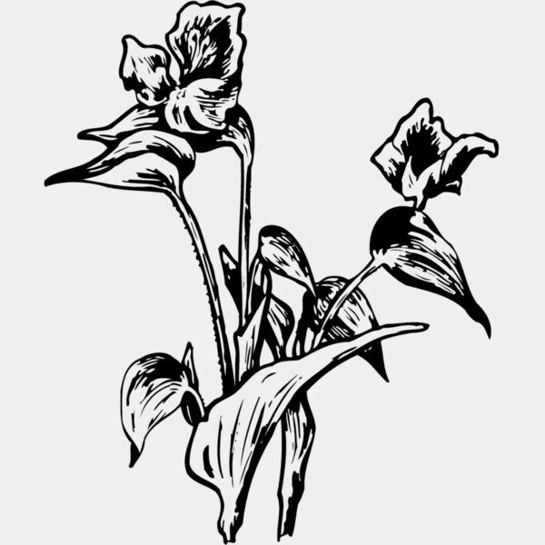 FLOWER30 Thumbnail