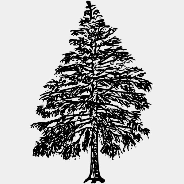 TREE0009 Thumbnail